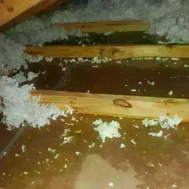 Attic Water Damage in Ames, IA