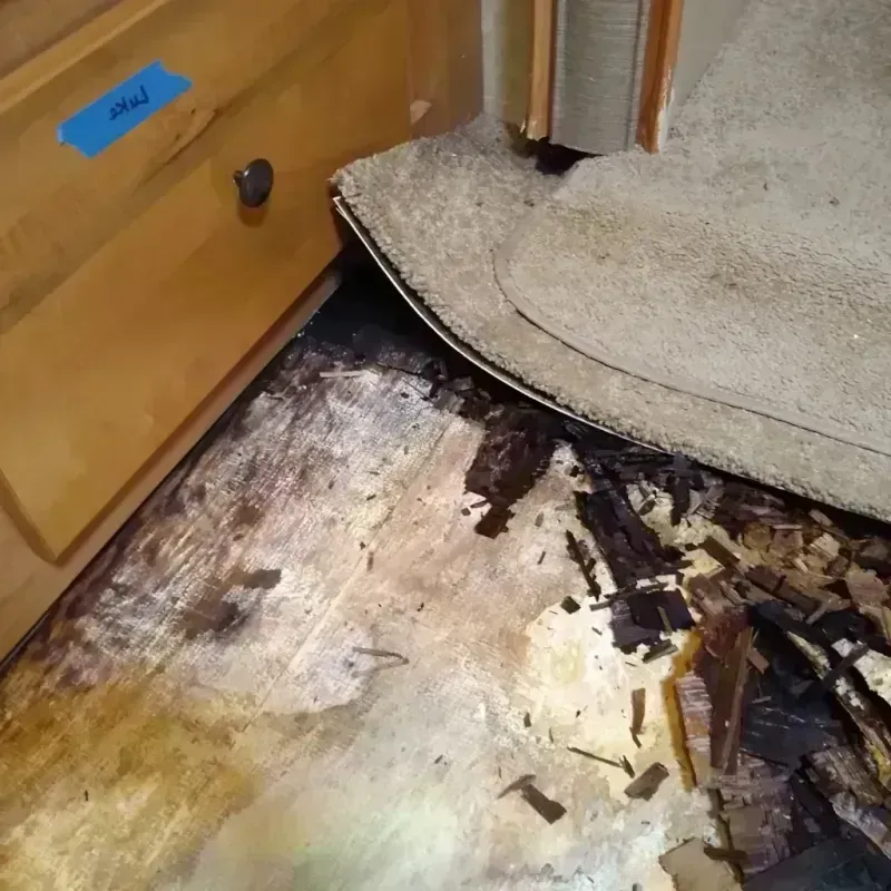 Wood Floor Water Damage in Ames, IA